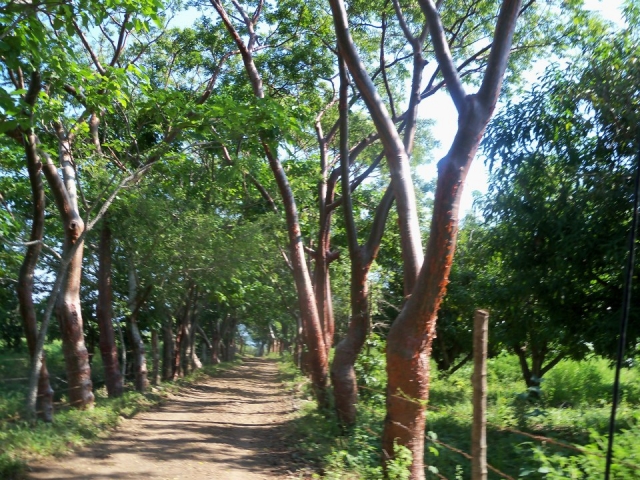 Caminos y senderos misticos